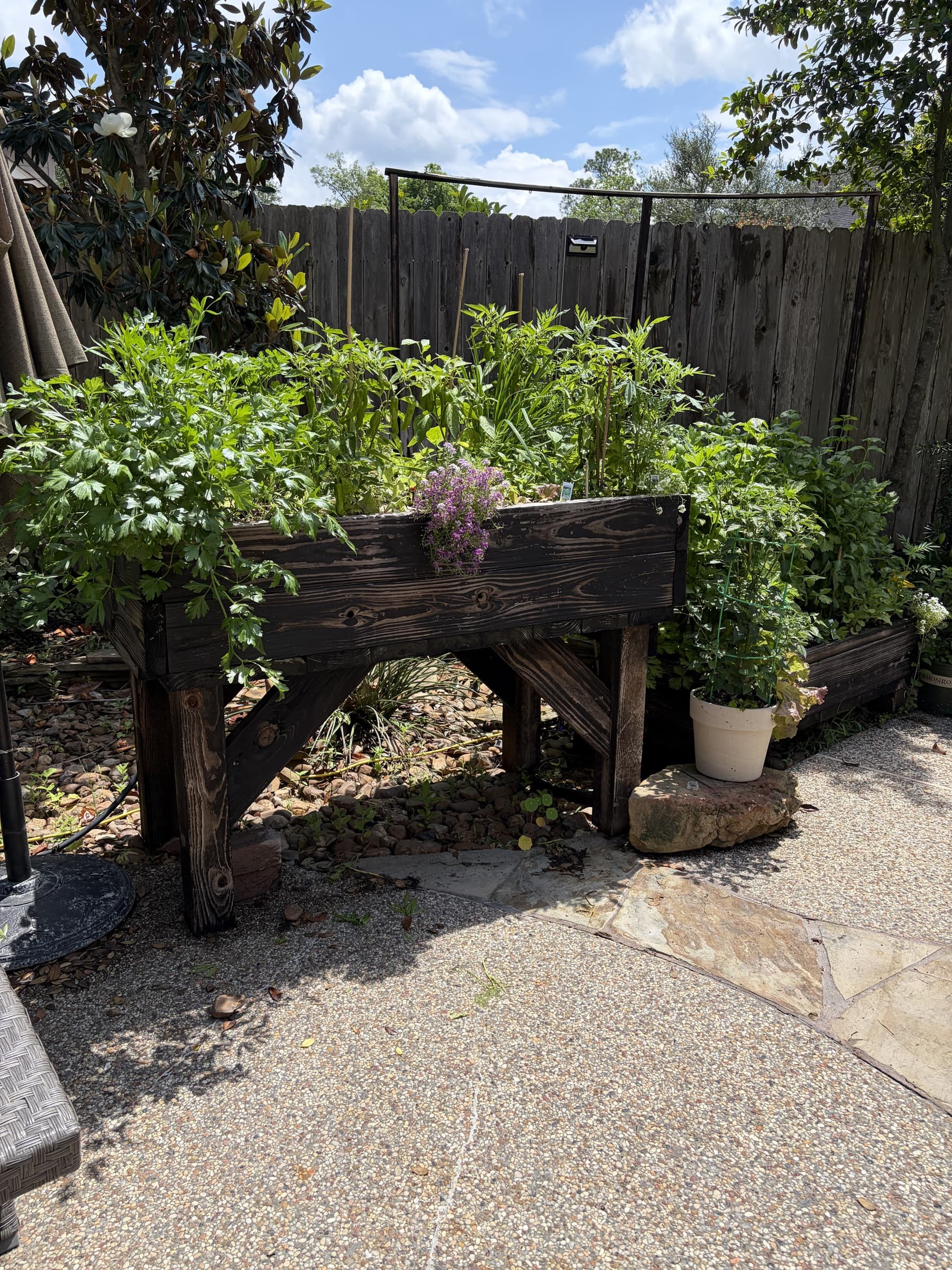A charred-wood elevated planter with greens spilling over onto a stone patio in a Houston backyard